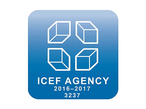 ICEF agency